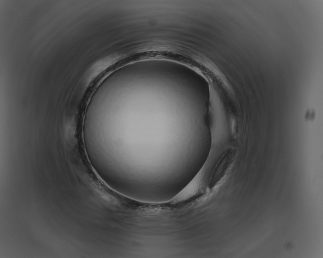 X0000096630826200802121045