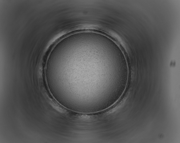 X0000096630827200802121045