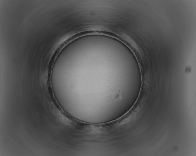 X0000096630831200802121045