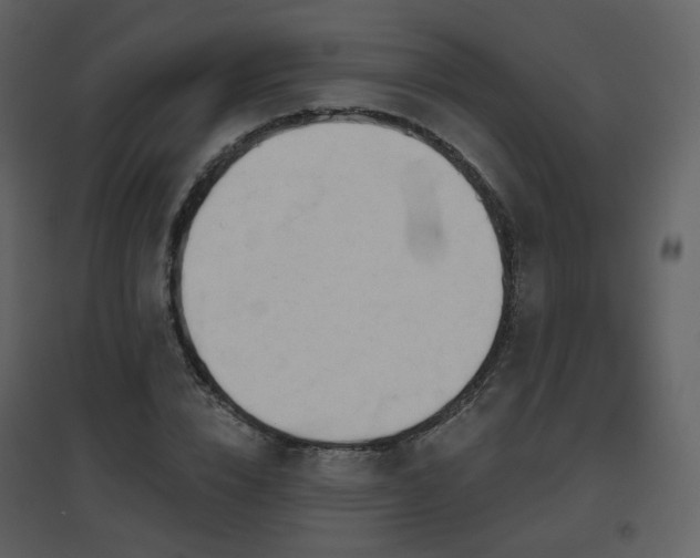 X0000096630832200802121045