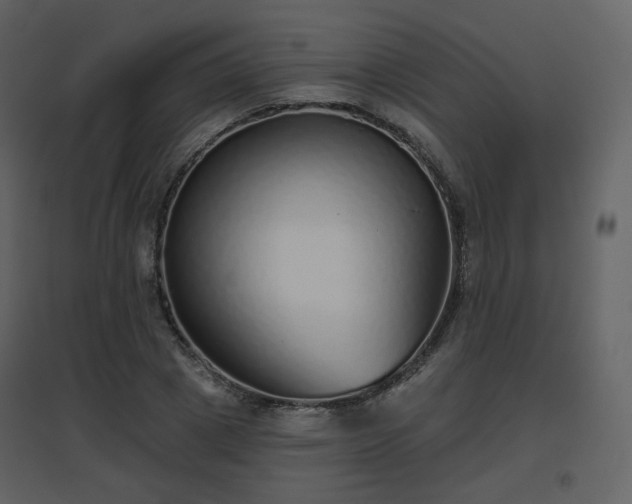 X0000096630833200802121045