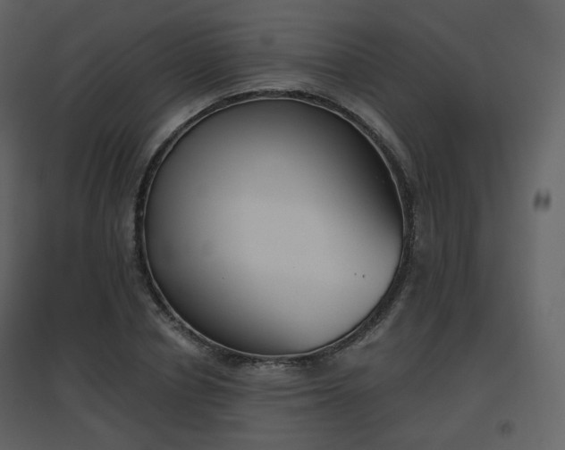 X0000096630834200802121045