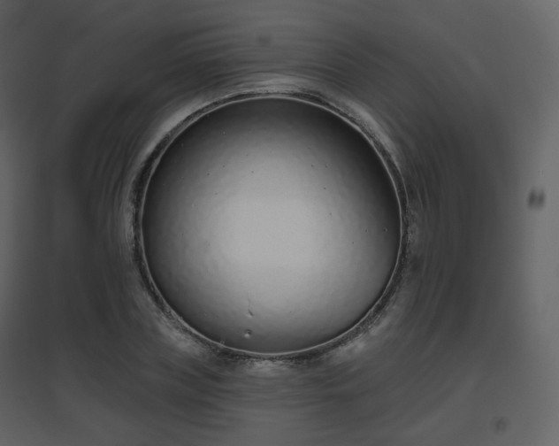 X0000096630835200802121045