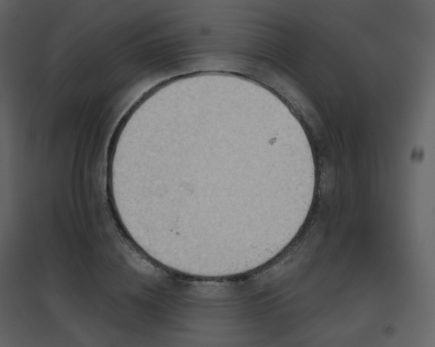 X0000096630836200802121045