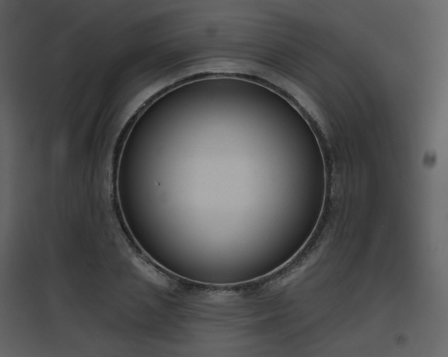 X0000096630837200802121045