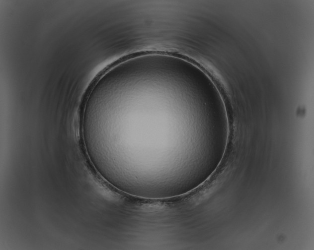 X0000096630838200802121045