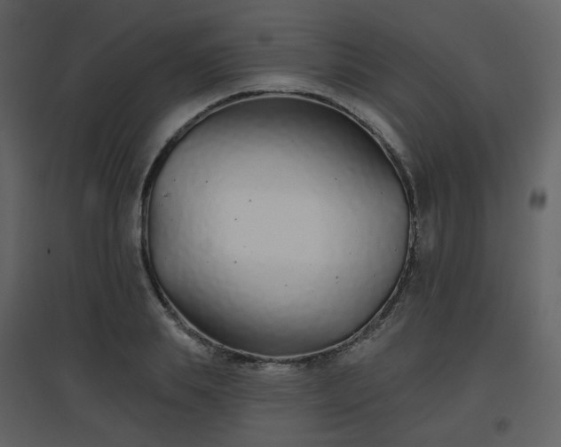 X0000096630839200802121045