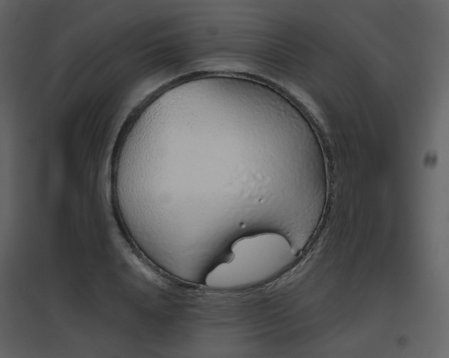X0000096630840200802121045