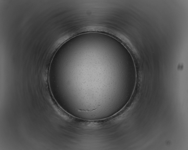 X0000096630841200802121045