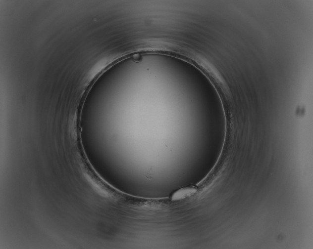 X0000096630842200802121045