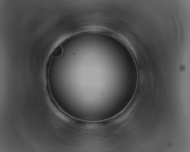 X0000096630843200802121046