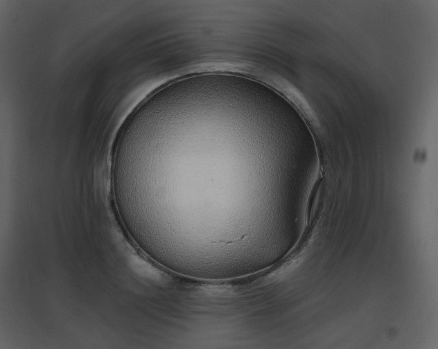 X0000096630844200802121046