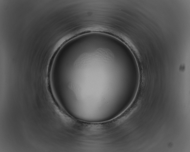 X0000096630845200802121046