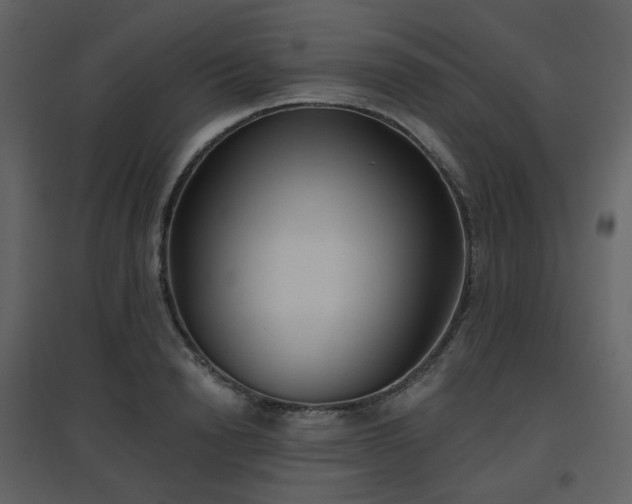 X0000096630846200802121046