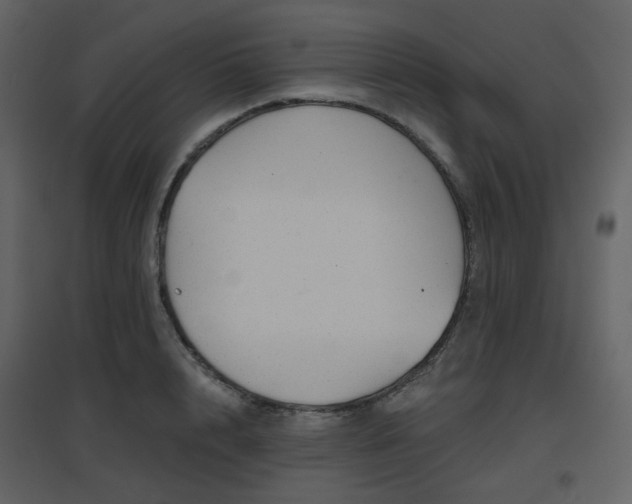 X0000096630848200802121046