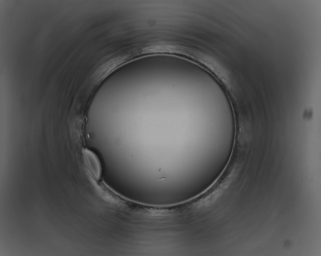 X0000096630849200802121046