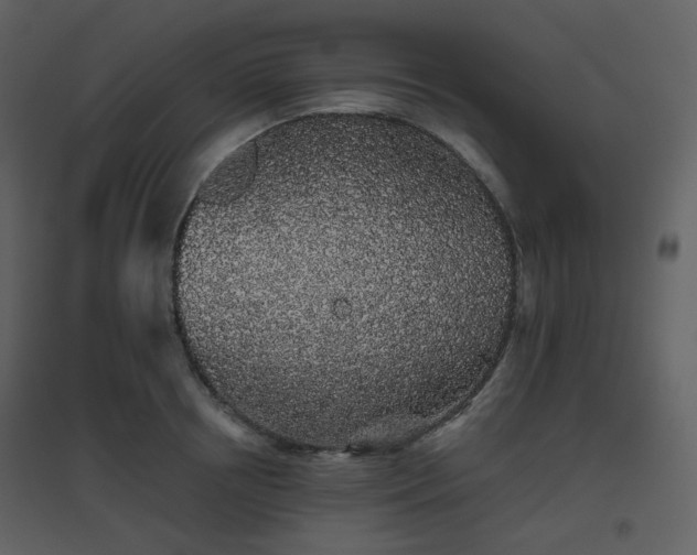 X0000096630850200802121046
