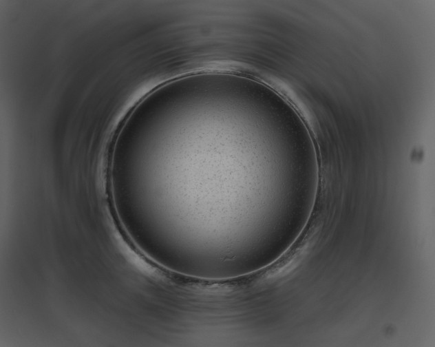 X0000096630851200802121046