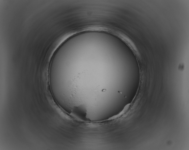 X0000096630852200802121046