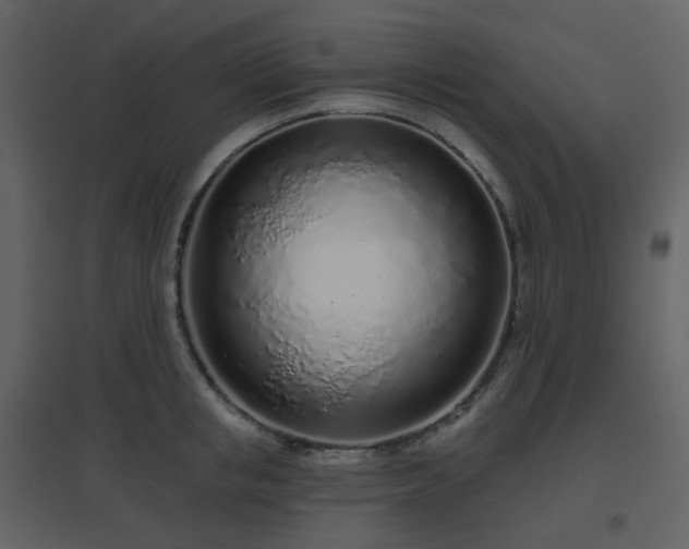 X0000096630853200802121046