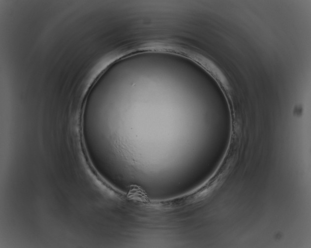 X0000096630855200802121046