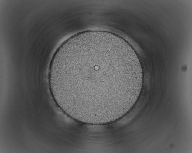 X0000096630856200802121046
