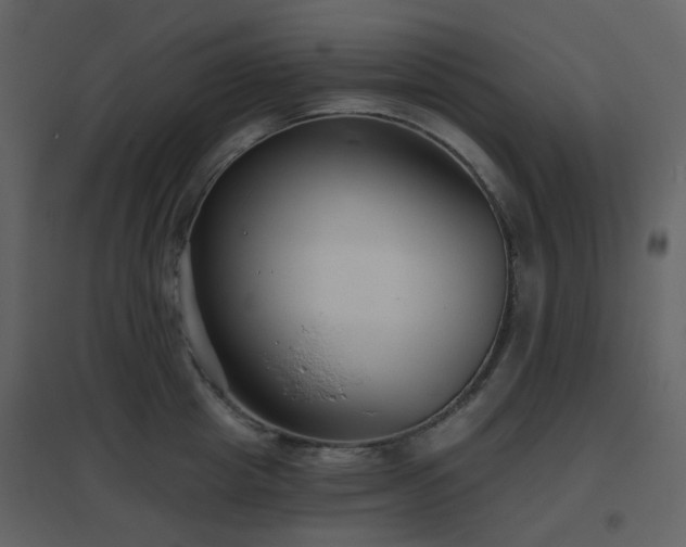 X0000096630857200802121046