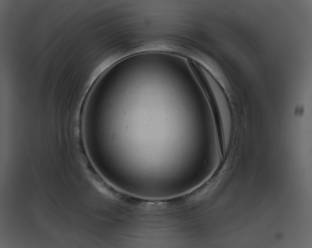 X0000096630858200802121046