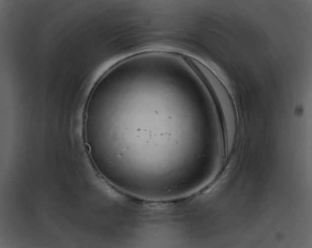 X0000096630862200802121046
