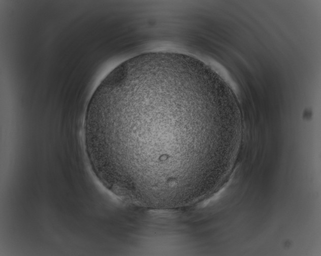 X0000096630863200802121046
