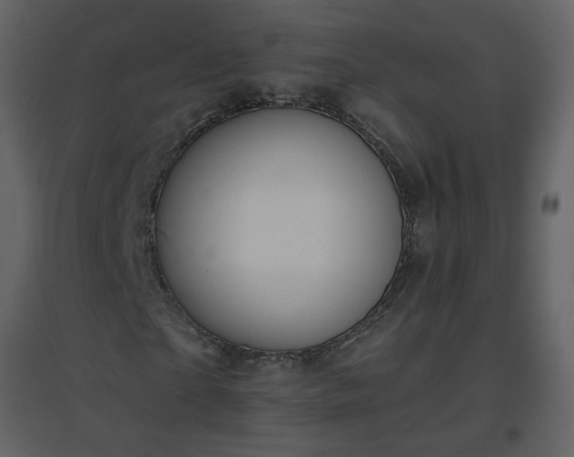 X0000096630865200802121045