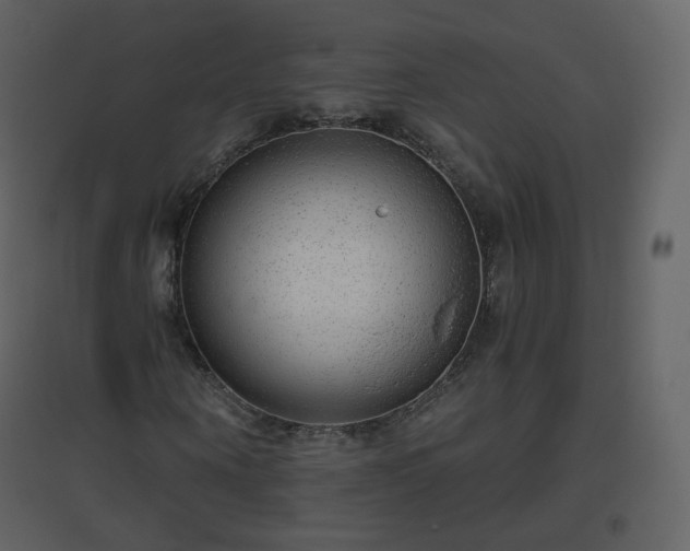 X0000096630866200802121045