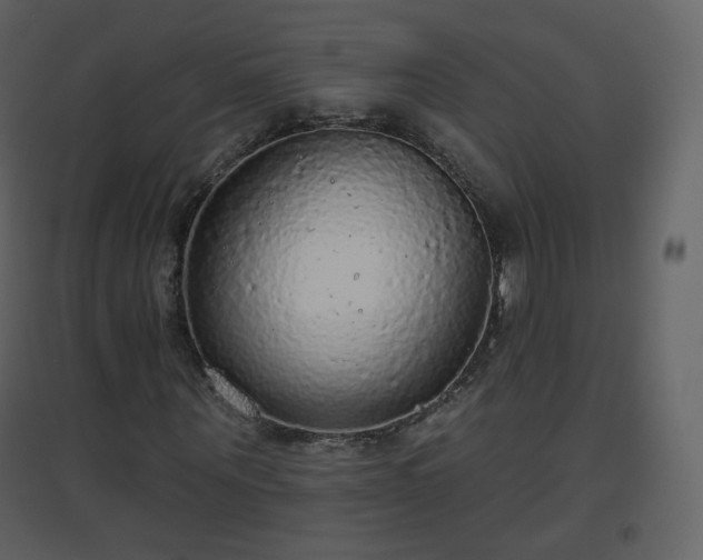X0000096630867200802121045