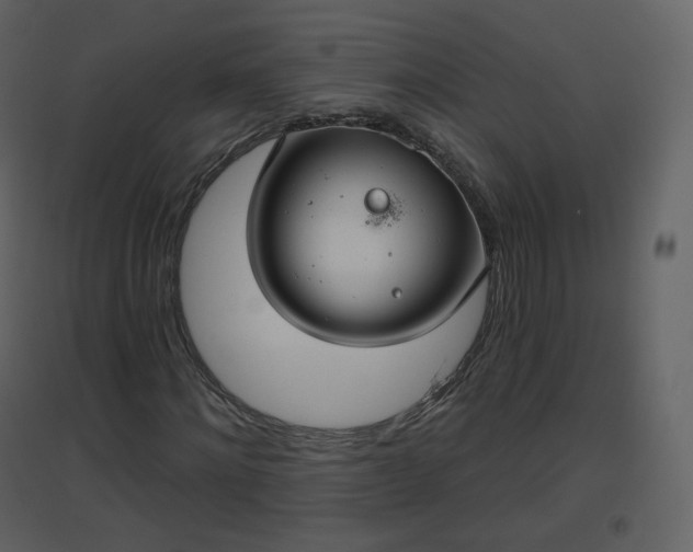 X0000096630868200802121045