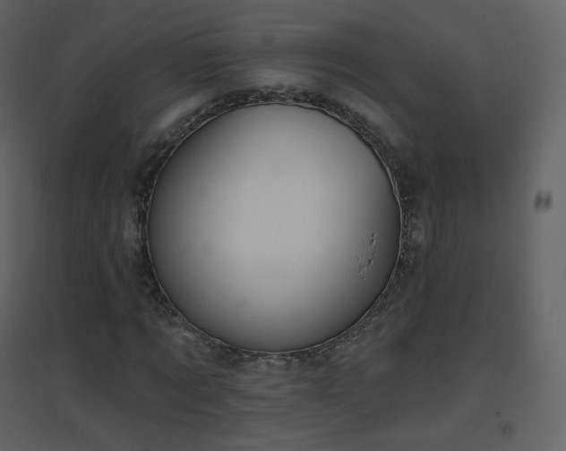 X0000096630869200802121045