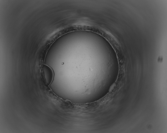 X0000096630870200802121045