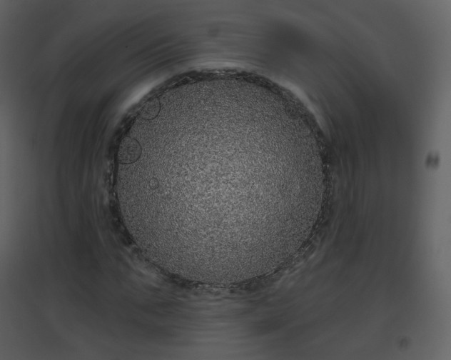 X0000096630871200802121045