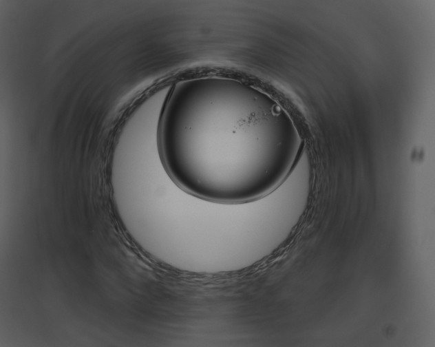 X0000096630872200802121045