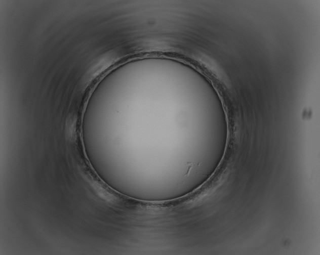 X0000096630873200802121045
