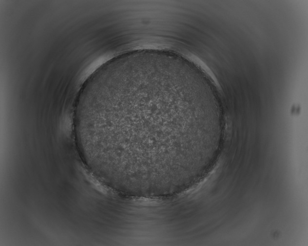 X0000096630874200802121045
