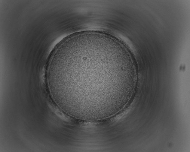 X0000096630875200802121045