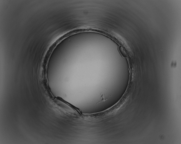 X0000096630876200802121045
