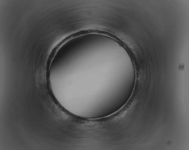 X0000096630877200802121045