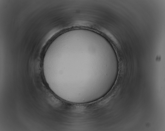 X0000096630878200802121045