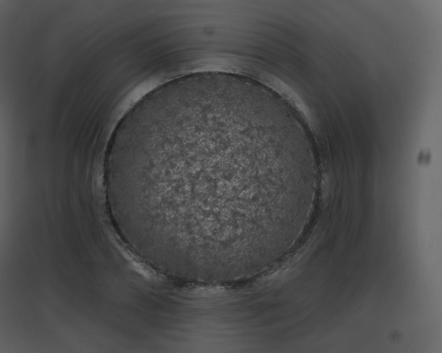 X0000096630882200802121045