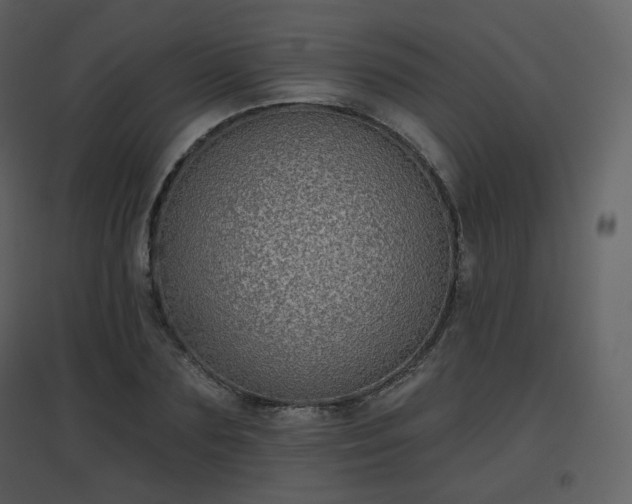 X0000096630883200802121045