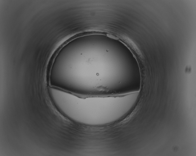 X0000096630884200802121045