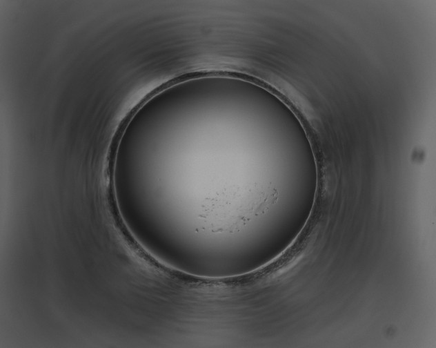 X0000096630885200802121045