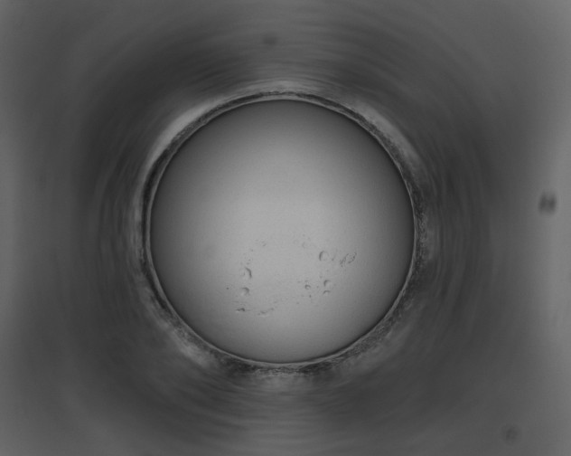 X0000096630886200802121045