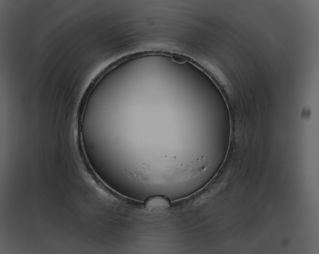 X0000096630888200802121045